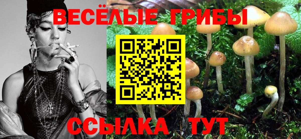 Псилоцибиновые грибы мухоморы  Вход с VPN  где можно купить наркотик  Сокол 