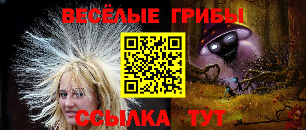 Псилоцибиновые грибы прущие грибы Сокол
